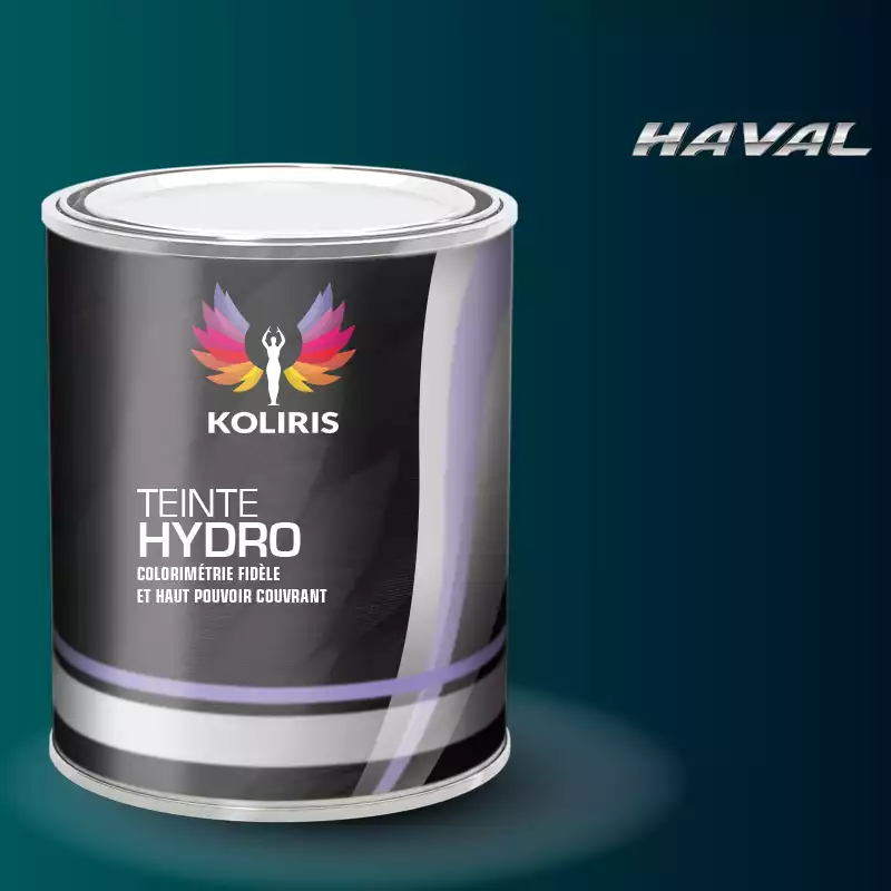 Peinture voiture hydro Haval