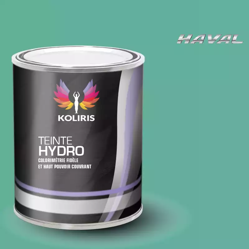 Peinture voiture hydro Haval