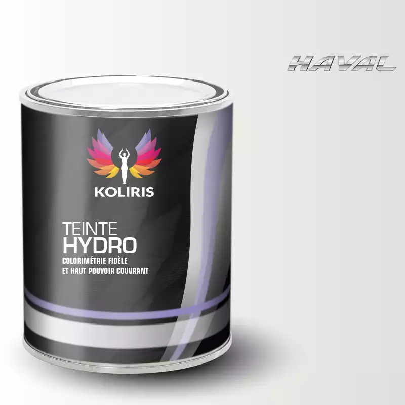 Peinture voiture hydro Haval