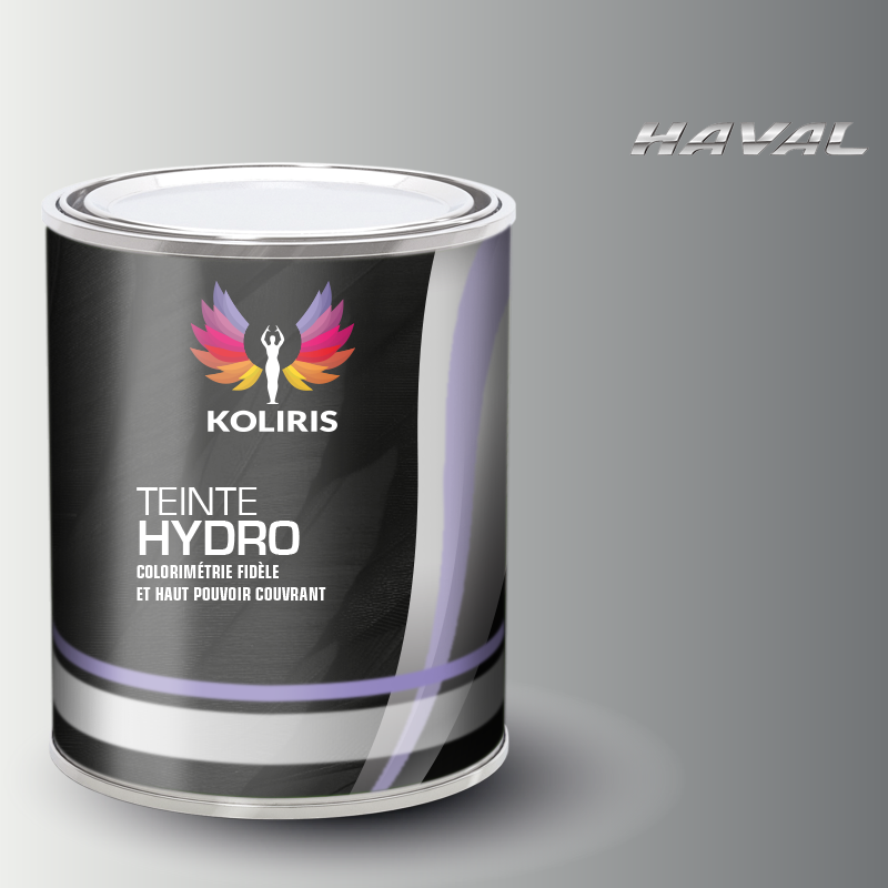 Peinture voiture hydro Haval