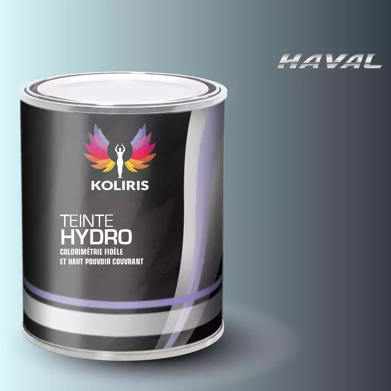 Peinture voiture hydro Haval