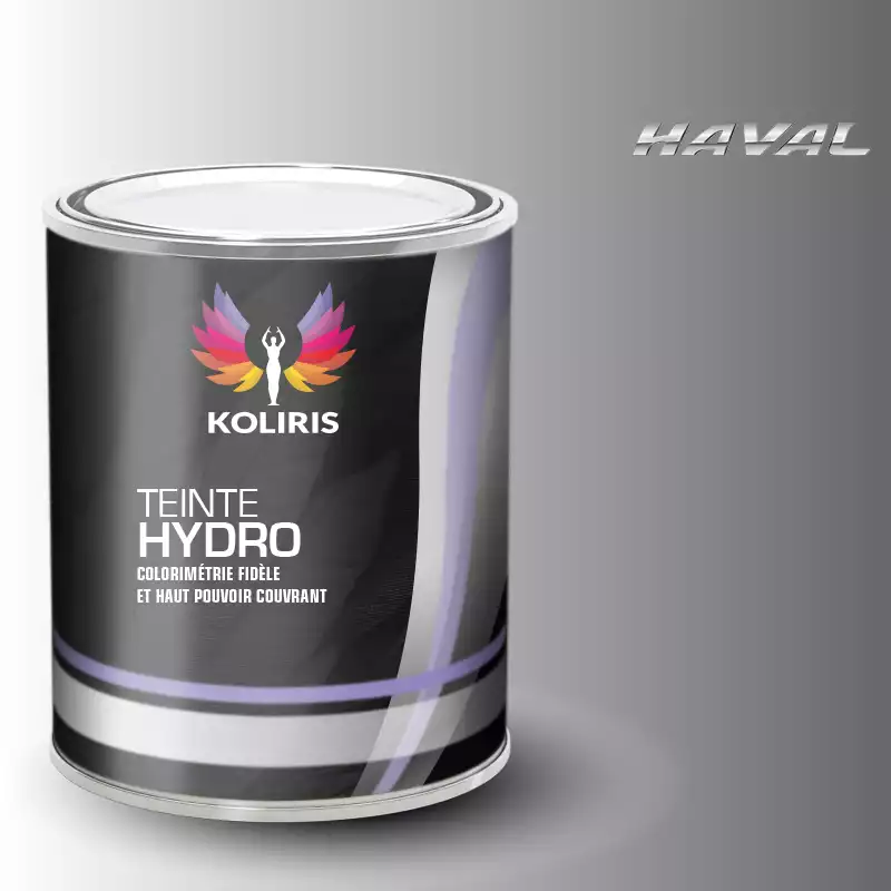 Peinture voiture hydro Haval