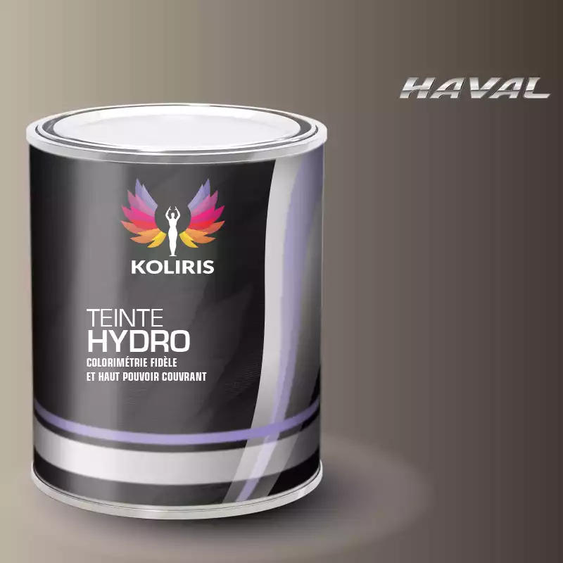 Peinture voiture hydro Haval