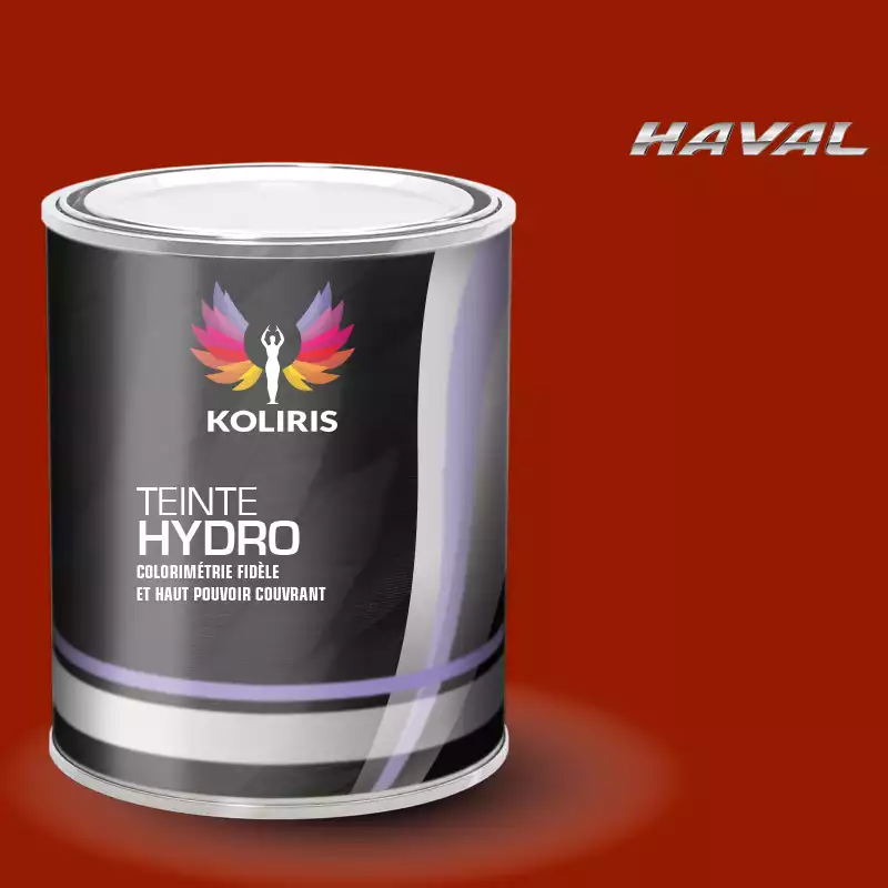 Peinture voiture hydro Haval