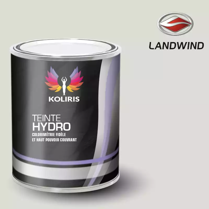 Peinture voiture hydro Landwind