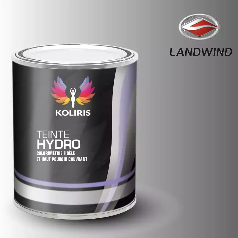 Peinture voiture hydro Landwind