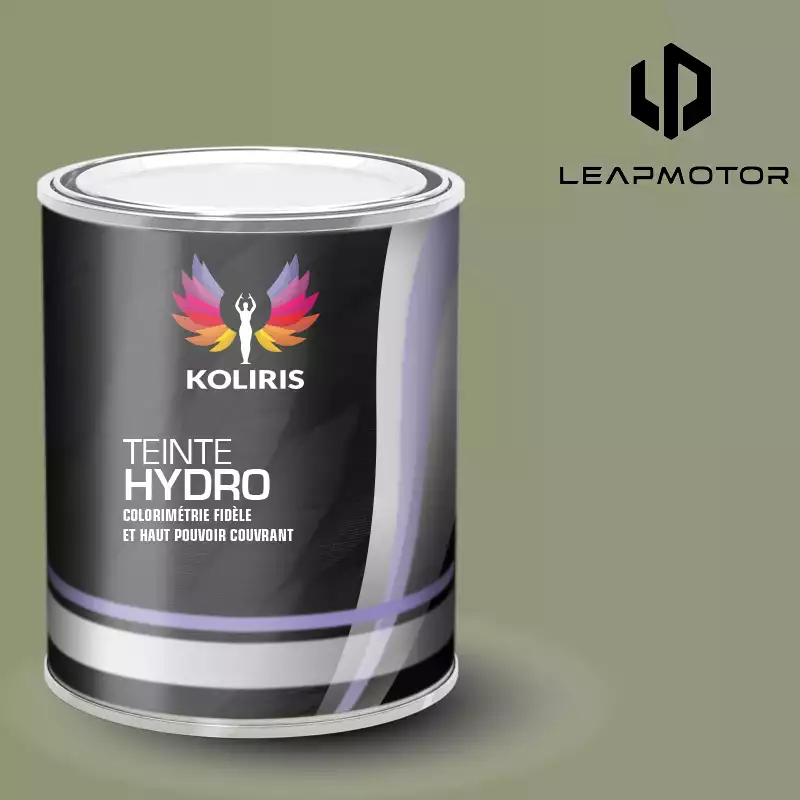 Peinture voiture hydro Leap Motor