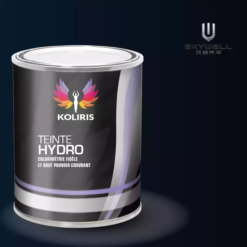 Peinture voiture hydro Skywell