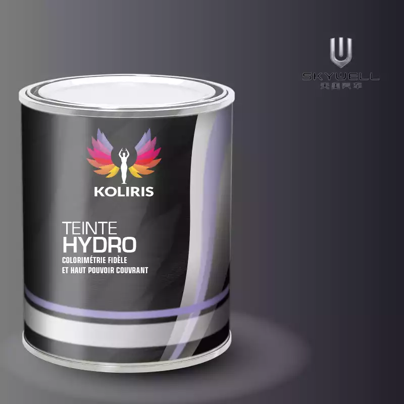 Peinture voiture hydro Skywell