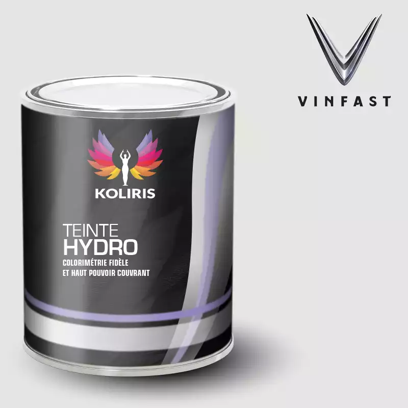 Peinture voiture hydro Vinfast