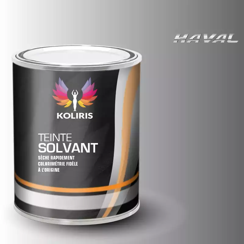 Peinture voiture solvant Haval