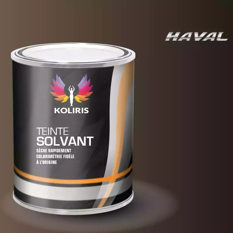 Peinture voiture solvant Haval