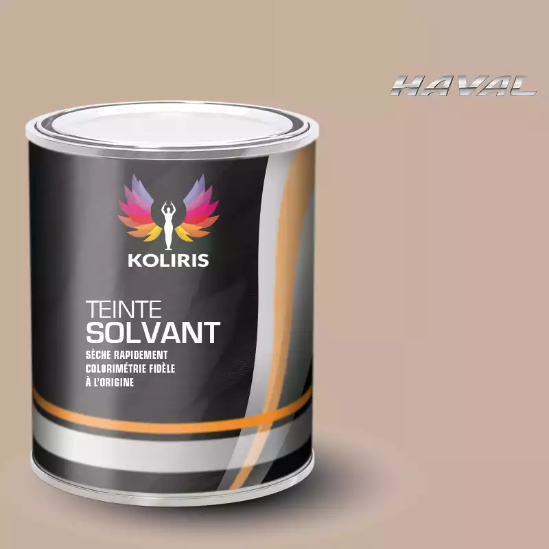 Peinture voiture solvant Haval