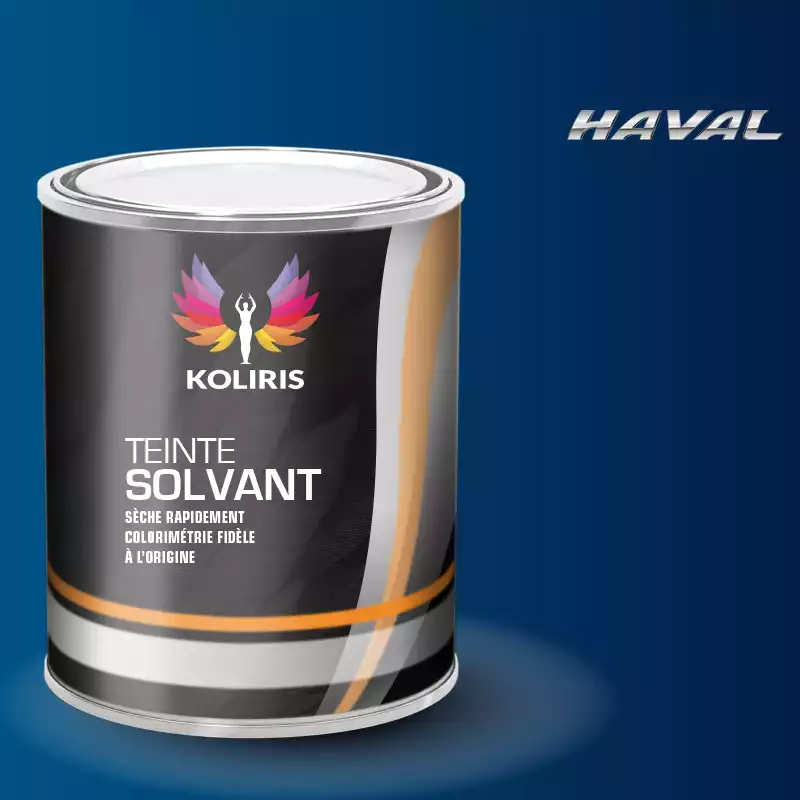 Peinture voiture solvant Haval