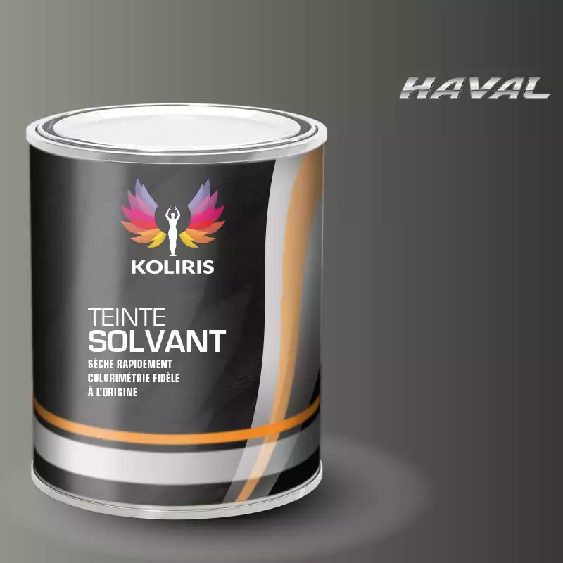 Peinture voiture solvant Haval