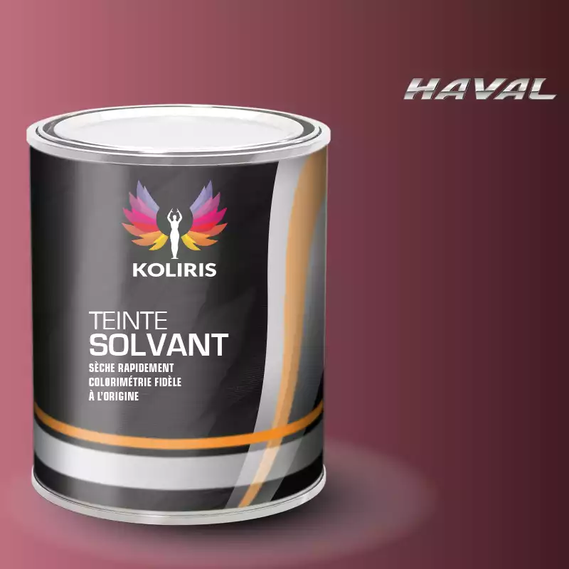 Peinture voiture solvant Haval