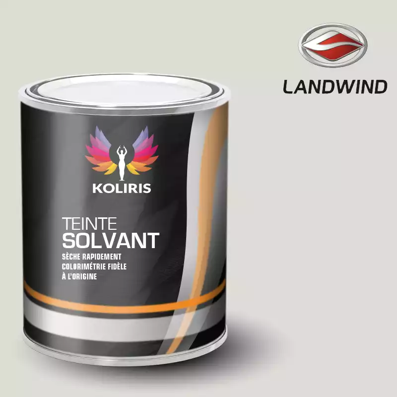 Peinture voiture solvant Landwind