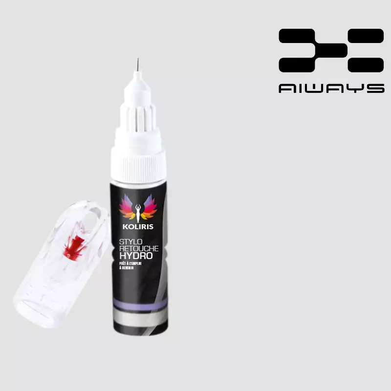 Stylo retouche peinture voiture Aiways 20ml