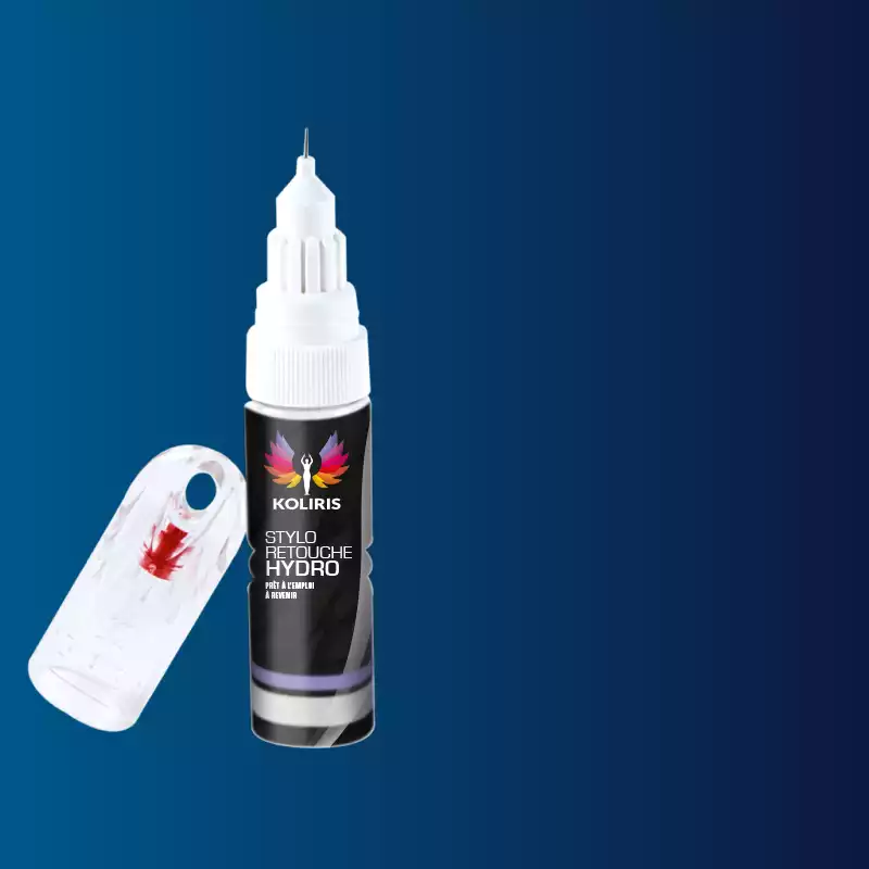 Stylo retouche peinture voiture Byd Auto 20ml