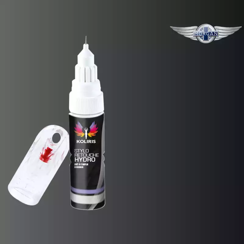 Stylo retouche peinture voiture Morgan 20ml