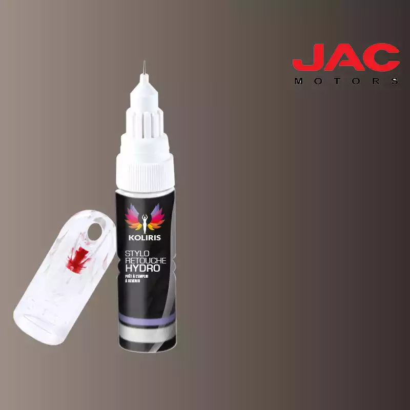 Stylo retouche peinture utilitaire Jac Motors 20ml