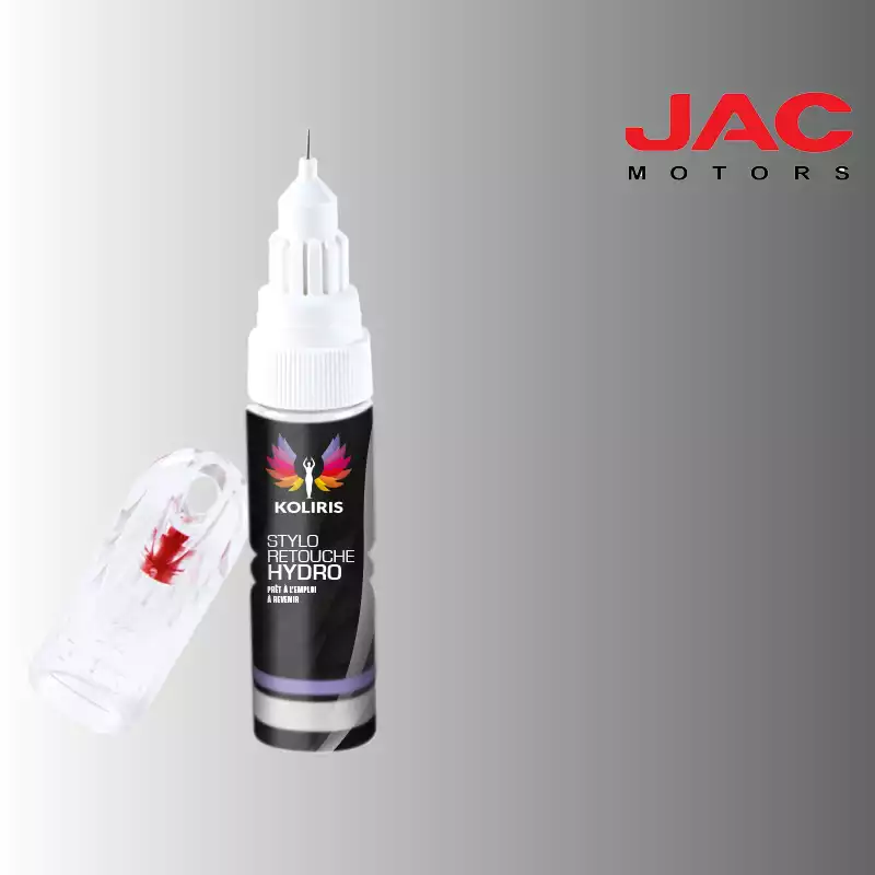 Stylo retouche peinture utilitaire Jac Motors 20ml