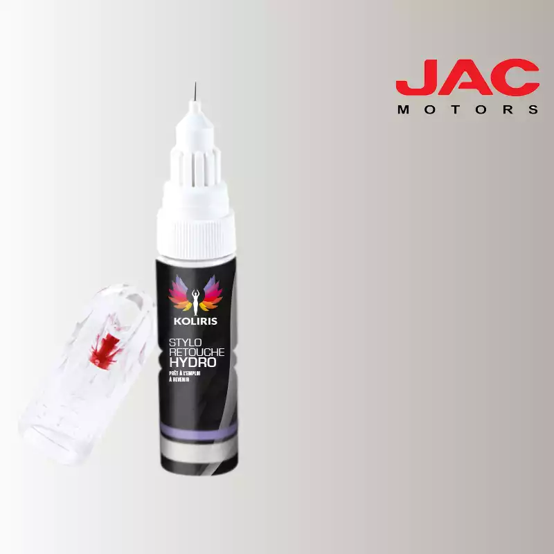 Stylo retouche peinture utilitaire Jac Motors 20ml