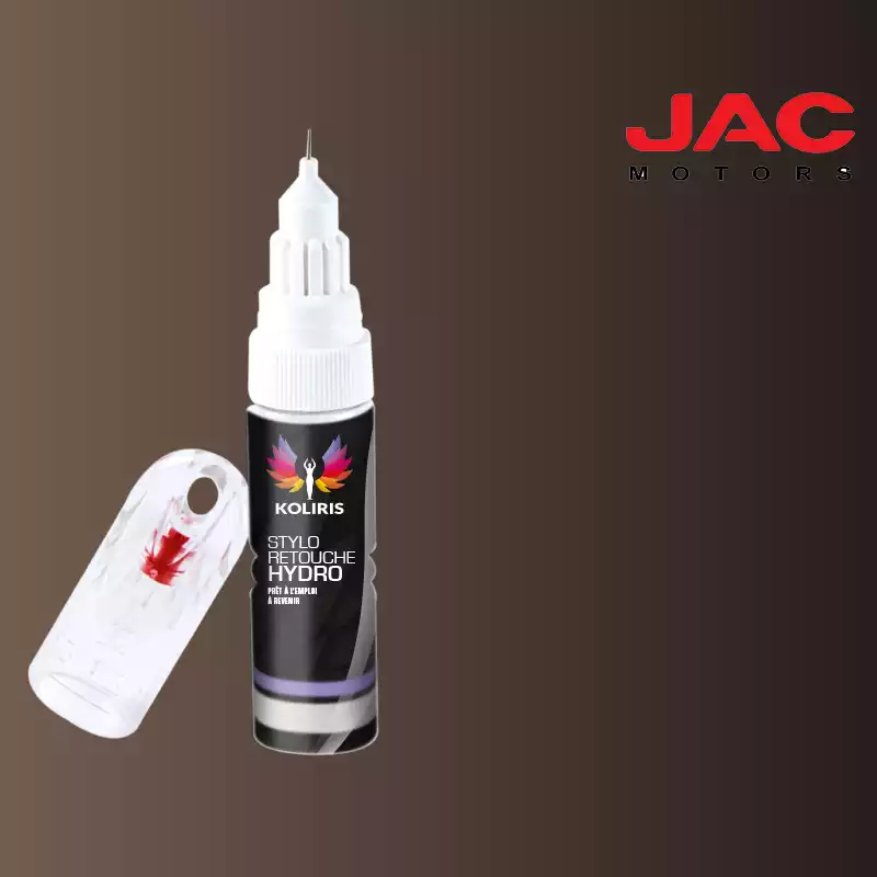 Stylo retouche peinture utilitaire Jac Motors 20ml