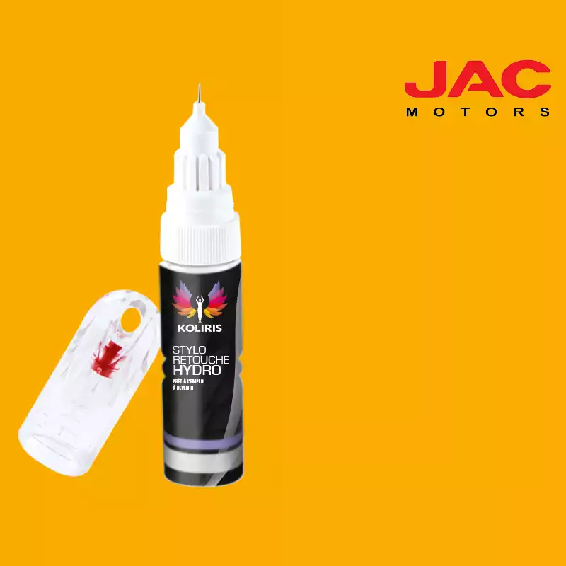 Stylo retouche peinture utilitaire Jac Motors 20ml