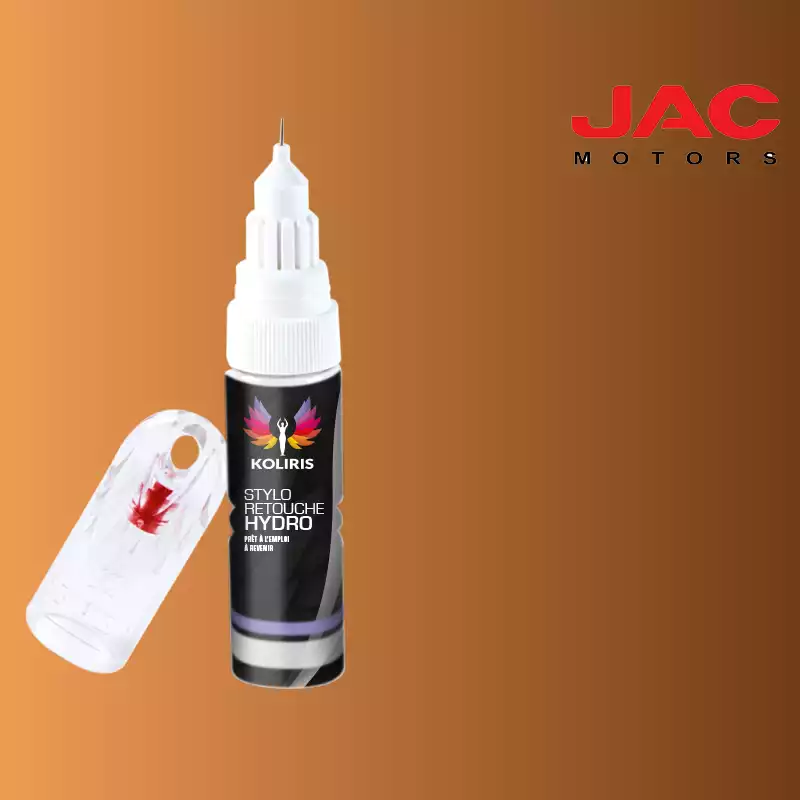 Stylo retouche peinture utilitaire Jac Motors 20ml