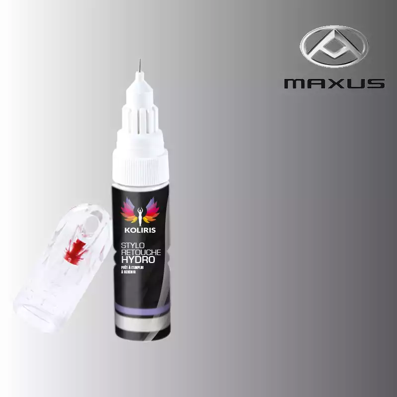 Stylo retouche peinture utilitaire Maxus 20ml