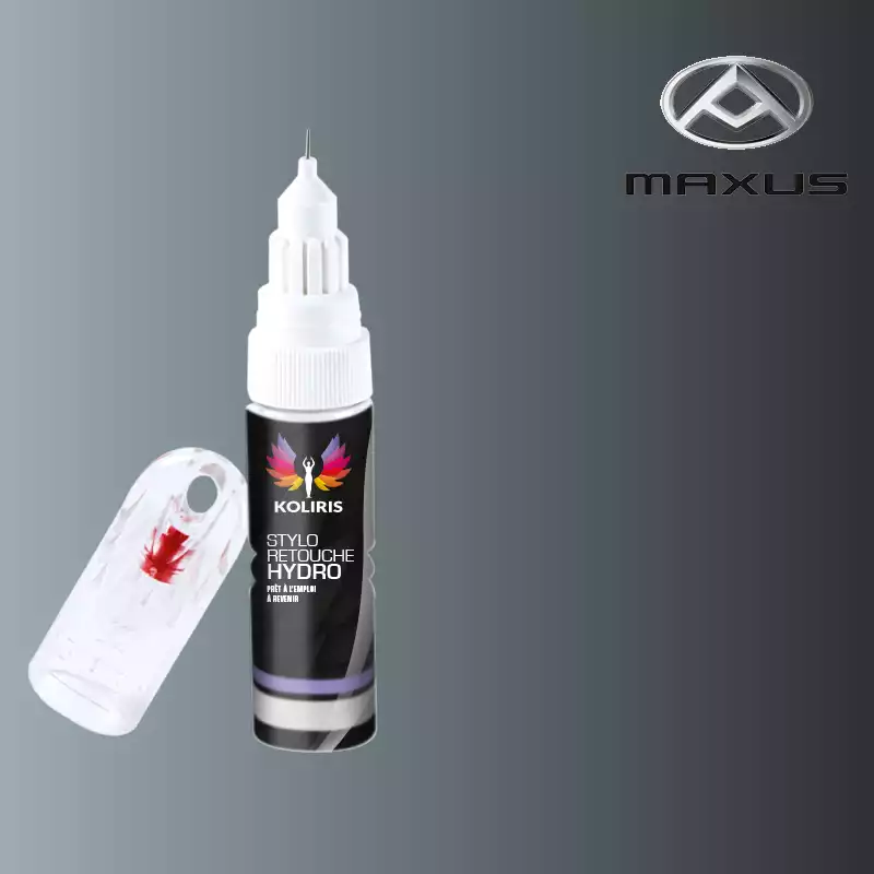 Stylo retouche peinture utilitaire Maxus 20ml